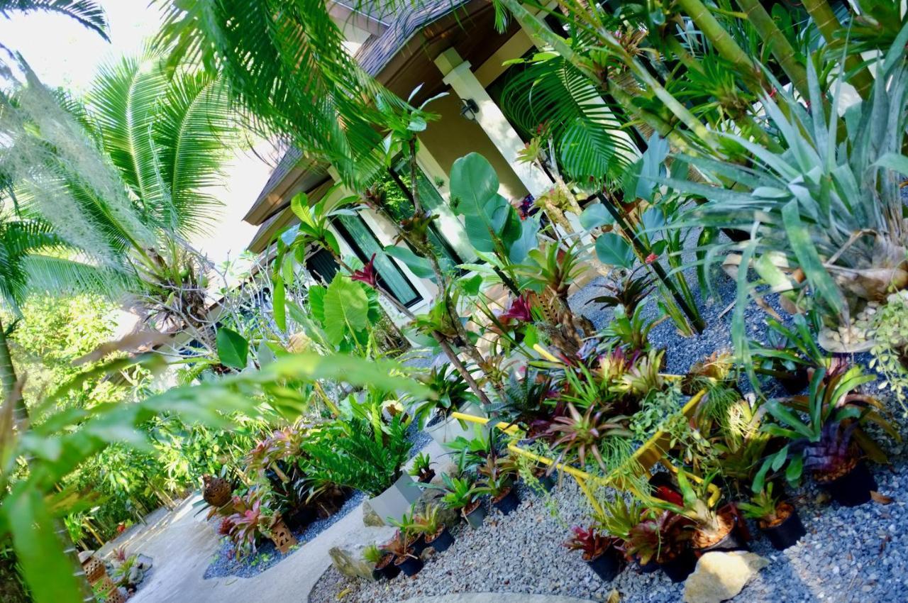 The Nature House Aonang Krabi Thailand Ao Nang Dış mekan fotoğraf