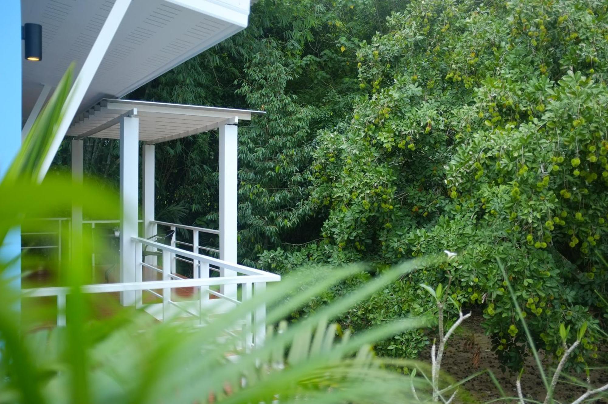 The Nature House Aonang Krabi Thailand Ao Nang Oda fotoğraf