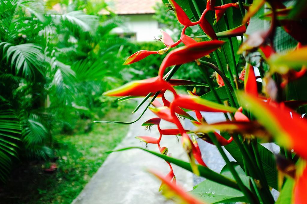 The Nature House Aonang Krabi Thailand Ao Nang Dış mekan fotoğraf